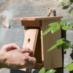 Vogel-Nistkasten für Meisen & Wendehals Vogel-Nistkasten für Meisen & Wendehals