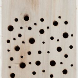 Insektenhotel für Wildbienen zum Hängen Insektenhotel für Wildbienen zum Hängen