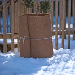 Kokosmatte als Kälteschutz 0,5 x 1,5 m Kokosmatte als Kälteschutz 0,5 x 1,5 m