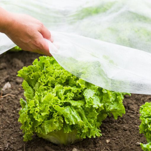 Gartenvlies für Frühbeete