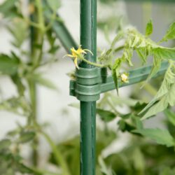 Tomaten-Rankturm dreieckig Tomaten-Rankturm dreieckig