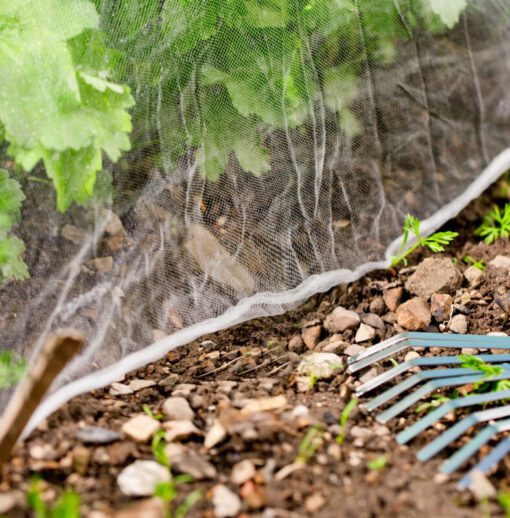 Insekten Schutznetz für Gemüsebeete