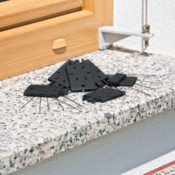 Vogel- und Taubenabwehr Set für Fensterbank & Co Vogel- und Taubenabwehr Set für Fensterbank & Co