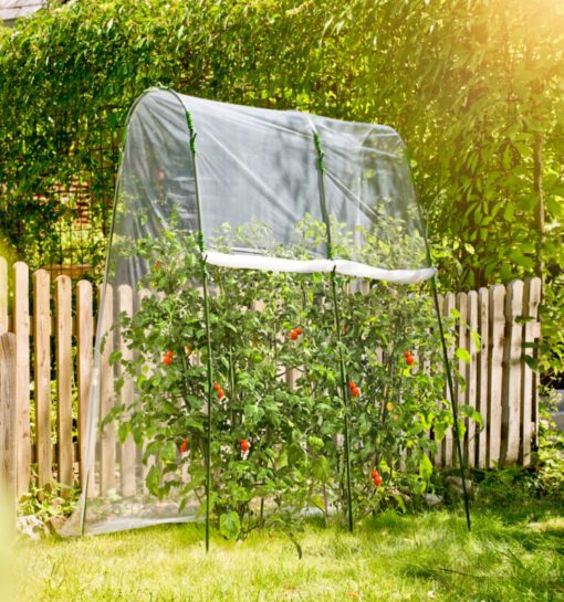 Tomatenhaus Folientunnel-Set 2x2m