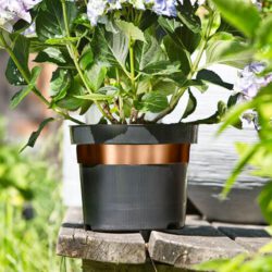 Schnecken Abwehrband aus Kupfer, 5m