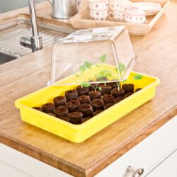 Zimmergewächshaus Deckel transparent 38x24x13cm