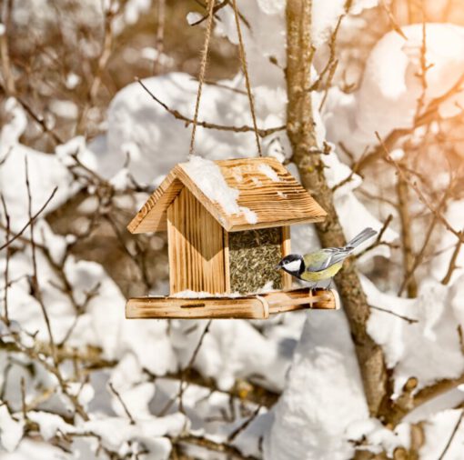 Vogelfutterhaus aus Holz mit Glasfenster zum Hängen