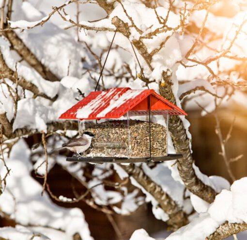 Vogelfutterhaus Kunststoff mit rotem Dach zum Hängen