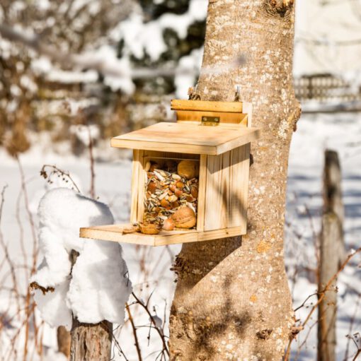 Eichhörnchen Futterstation aus Holz