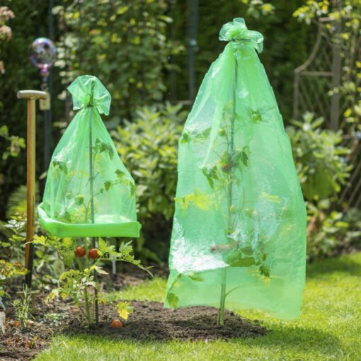 Tomaten Folien-Reifehaube 5 Stück