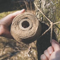 Tomatengewächshaus und Rankturm im Set