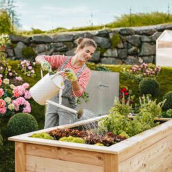 Hochbeet aus Kiefernholz, diverse Größen