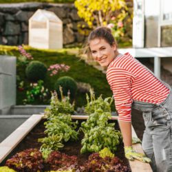 Hochbeet aus Kiefernholz, diverse Größen