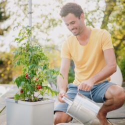 Tomatenpflanztopf mit Wassertank