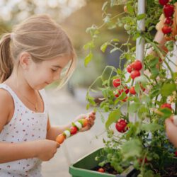 Tomatenpflanztopf mit Wassertank