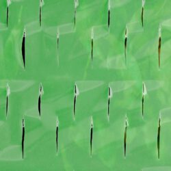 Tomaten Folien-Reifehaube 5 Stück