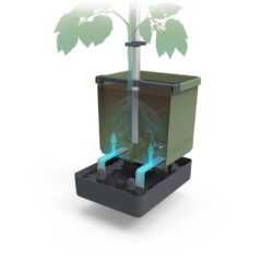 Tomatenpflanztopf mit Wassertank