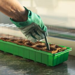 Pikier-Werkzeug zum Umpflanzen von Sämlingen Pikier-Werkzeug zum Umpflanzen von Sämlingen