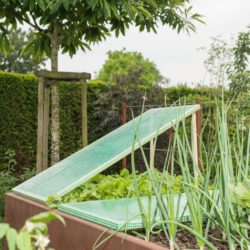 Gewächshausfolie grün Gewächshausfolie grün