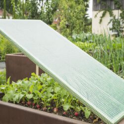 Gewächshausfolie grün Gewächshausfolie grün