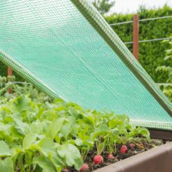 Gewächshausfolie grün Gewächshausfolie grün