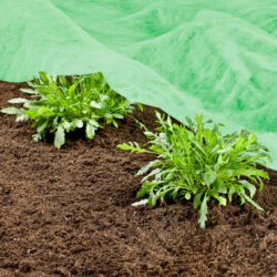 Gartenvlies für Frühbeete Gartenvlies für Frühbeete