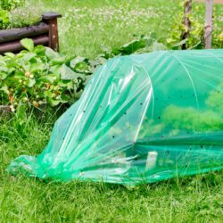 Folienbeet-Set mit Folie, Tunnelbögen & Heringen Folienbeet-Set mit Folie, Tunnelbögen & Heringen