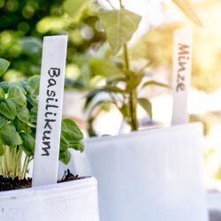 Stecketiketten zum Beschriften weiß Stecketiketten zum Beschriften weiß