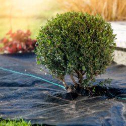 Unterbodengewebe als Unkrautschutz