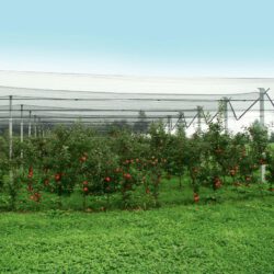 Hagel Schutznetz für Bäume & Weinreben