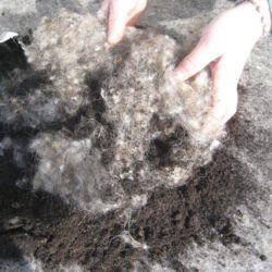 Schafwoll-Noppen als Dünger, 200g Schafwoll-Noppen als Dünger, 200g