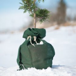 Jutesack - div. Größen und Farben