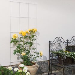 Gitterspalier aus Metall Gitterspalier aus Metall