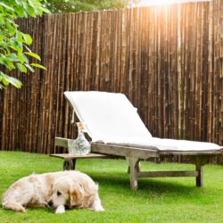 Sichtschutz Bambusmatte exklusiv