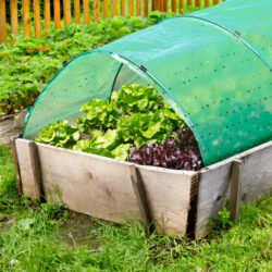 Folienbeet-Set aus Tunnelbögen & Klammern OHNE Folie Folienbeet-Set aus Tunnelbögen & Klammern OHNE Folie