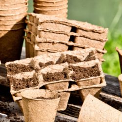 Torffreie Anzuchttöpfe