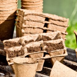 Torffreie Anzuchttöpfe