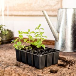 Anzuchttöpfe aus Kunststoff Anzuchttöpfe aus Kunststoff