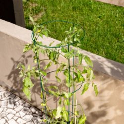 Tomaten-Rankturm rund Tomaten-Rankturm rund