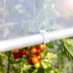 Tomatenhaus aus Aluminium