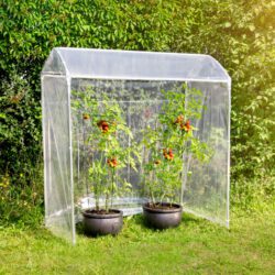 Tomatenhaus aus Aluminium