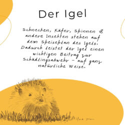 Igelhaus, Igelhotel aus unbehandeltem Holz 38x38x18 Igel ein Nützling im Garten