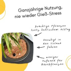 Automatischer Wasserspender für ganzjährige Nutzung