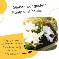 Automatischer Wasserspender - gießen war gestern