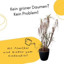 Automatischer Wasserspender - Plantpal Gießhilfe Automatischer Wasserspender - gießen war gestern