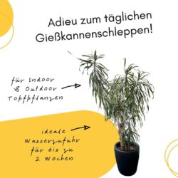 Automatischer Wasserspender - Plantpal Gießhilfe Automatischer Wasserspender für ganzjährige Nutzung