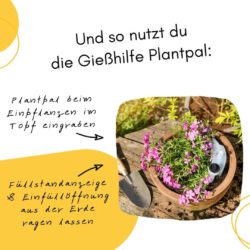 Automatischer Wasserspender - Plantpal Gießhilfe Automatischer Wasserspender für ganzjährige Nutzung - so nutzt du Plantpal