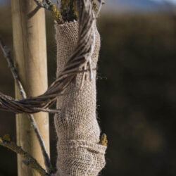 Jute Dekoband / Wickelstreifen Öko Jute Dekoband / Wickelstreifen Öko