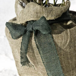 Jute Dekoband / Wickelstreifen Öko Jute Dekoband / Wickelstreifen Öko