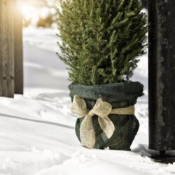 Jute Dekoband / Wickelstreifen Öko Jute Dekoband / Wickelstreifen Öko